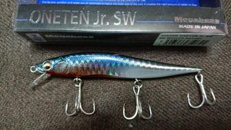 デカシーバス無念のラインブレイク…