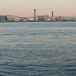 タチウオ今日から大潮