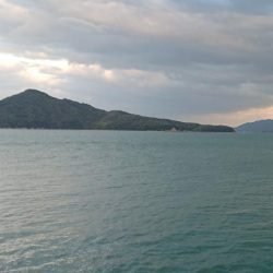 久々に来たぁ~!