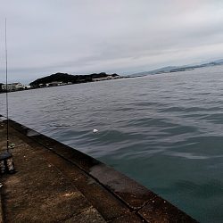 台風後の一杯です!!