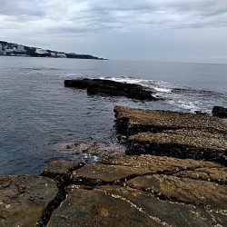 アオリイカ少し大きくなってきました!!