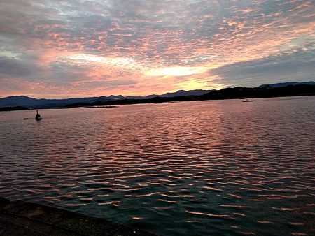 太刀魚釣れました(#^^#)