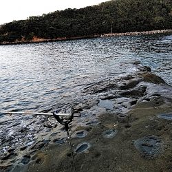 アオリが駄目でしたが、シオが上がりました!!