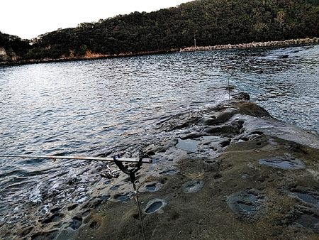 アオリが駄目でしたが、シオが上がりました!!