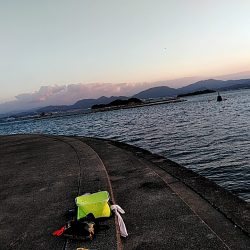 何とか一本太刀魚上がりました!!