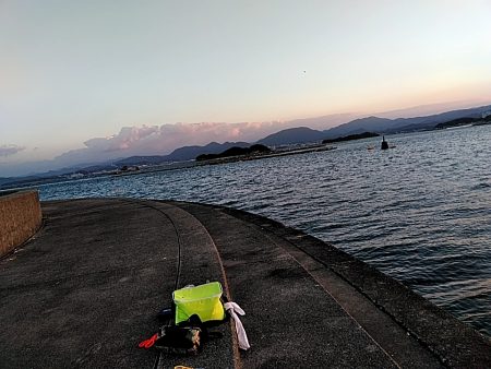 何とか一本太刀魚上がりました!!