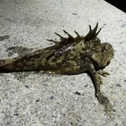 ちがうだろーちがうだろーー！！