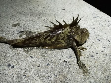 ちがうだろーちがうだろーー！！