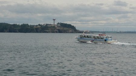 台風前に、なんとかヒラマサゲット