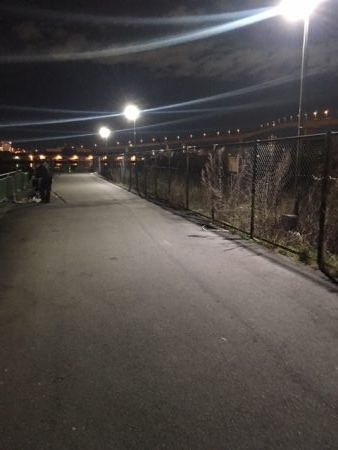 鶴浜緑地　爆釣