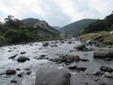狩野川(狩野川漁業協同組合) 釣果