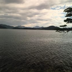 逃げのロックフィッシュ