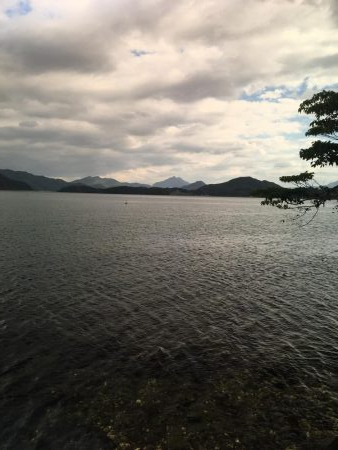 逃げのロックフィッシュ