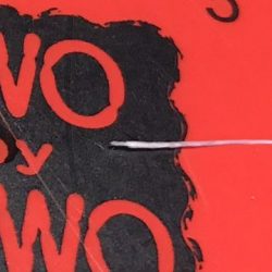 豆アジからの・・・