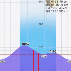 チャリコング楽しそう