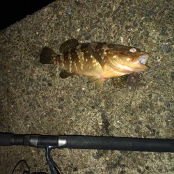 今シーズン初！！