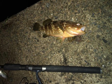 今シーズン初！！