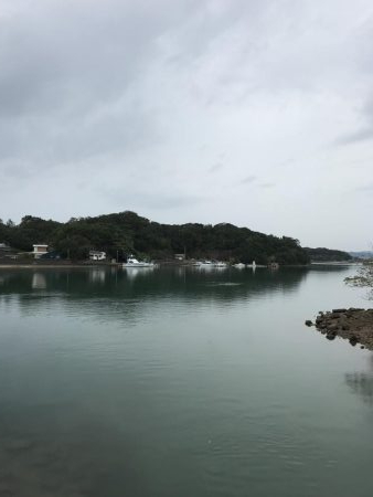 セイゴ〜メッキ