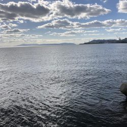 メジロ釣りたい