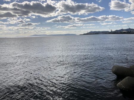 メジロ釣りたい