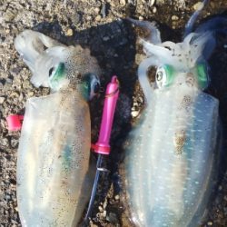 午後からちょこっとだけ