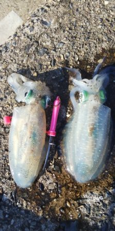 午後からちょこっとだけ