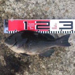 今週の釣果報告！10月20日（土）