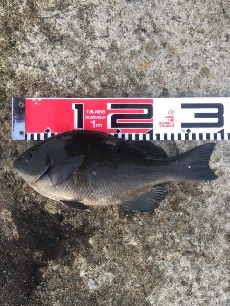 今週の釣果報告！10月20日（土）