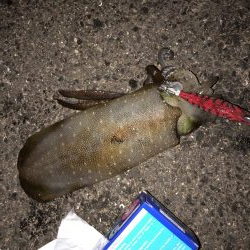 赤坂海岸で2時間