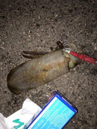 赤坂海岸で2時間