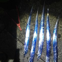 岸和田一文字にて爆釣