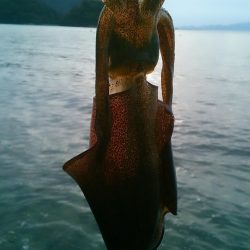 強行しました！