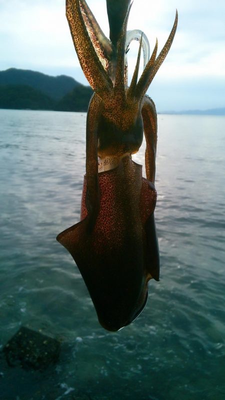 強行しました！