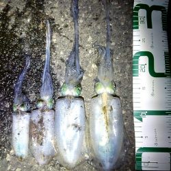 行って良かった