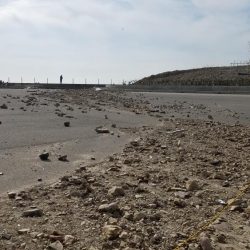 南知多エギング！