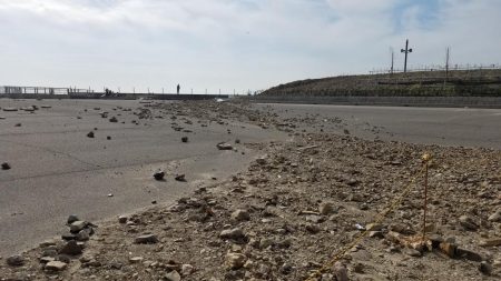 南知多エギング！