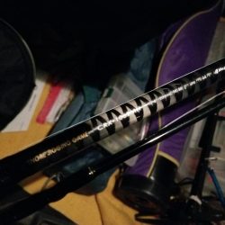 ランカーサイズ!