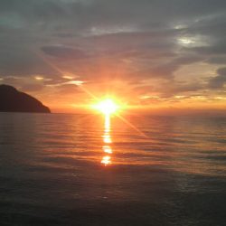 アオリイカ避難解除！