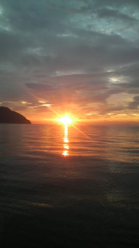 アオリイカ避難解除！