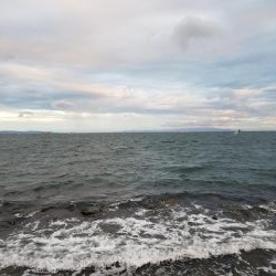 しっぶしぶな釣果