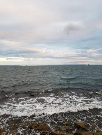 しっぶしぶな釣果