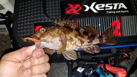 第2回KPN(カサゴパーティーナイト)大会‼