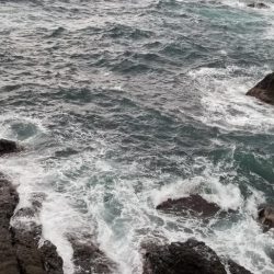 雨にも負けず、風にも負けず❗