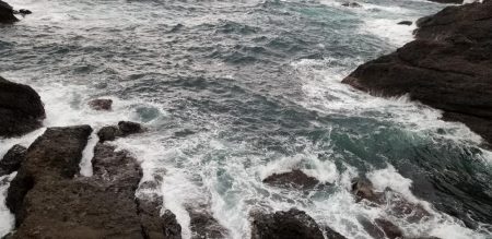 雨にも負けず、風にも負けず❗