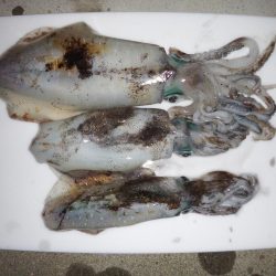 寝坊からスタート