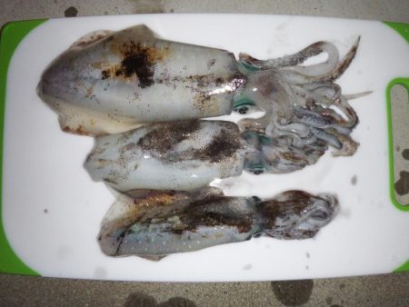 寝坊からスタート