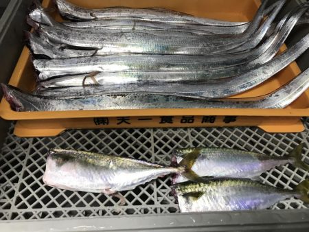 タチウオ×9からのサバ3