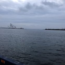 今日は、ダラダラと。