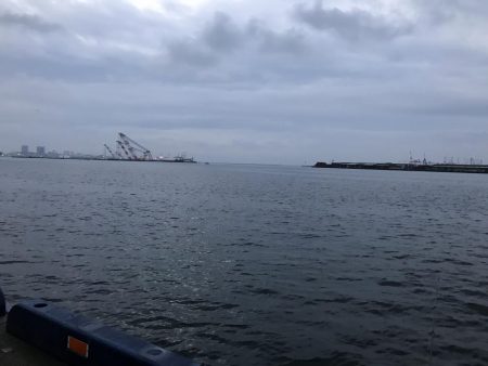 今日は、ダラダラと。