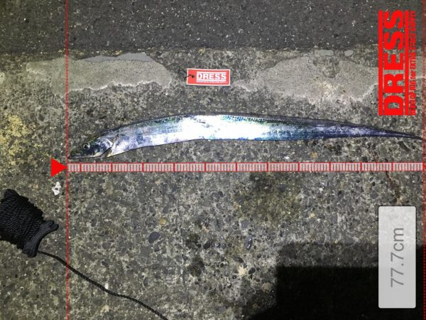 やっと湾の奥に入ってきた！